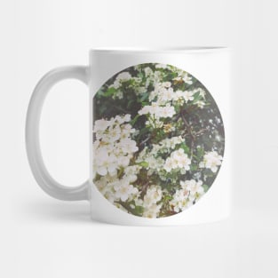 Spring Evening Mug